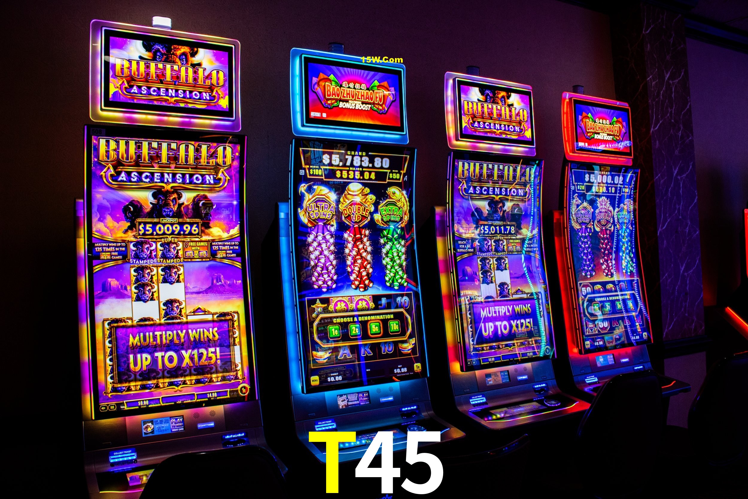 Bonus Features T45